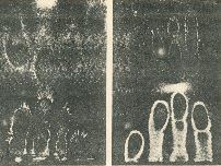 Eletrografias ou efluviografias de Baraduc